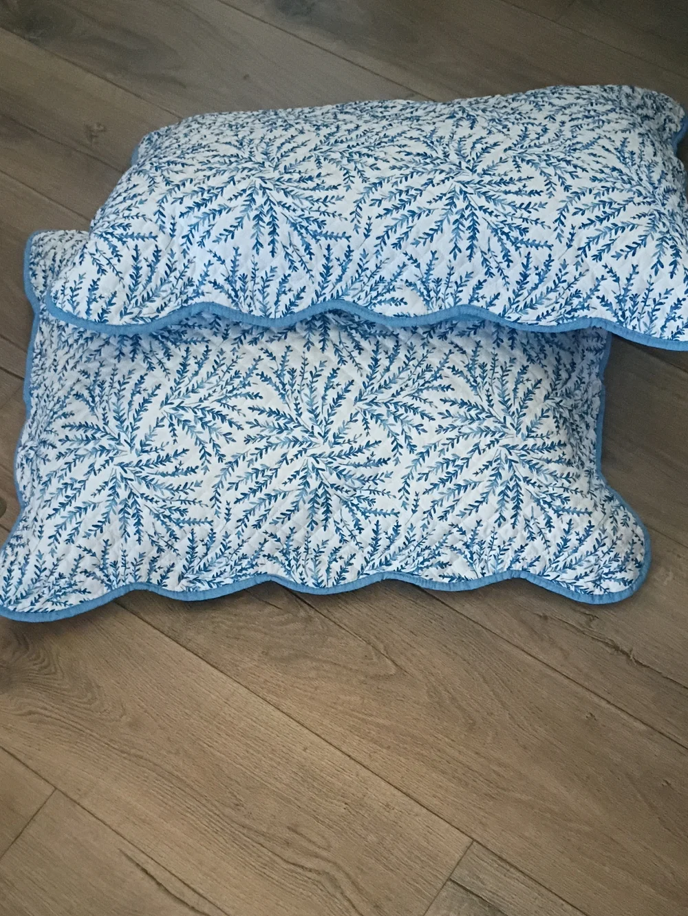 Two Queen Shams Flowing Blue Fern Design Scalloped Edges Classic Grid Quilting